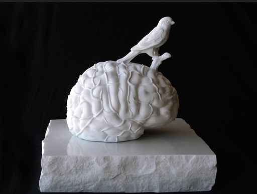 Dreaming about the speed of freedom