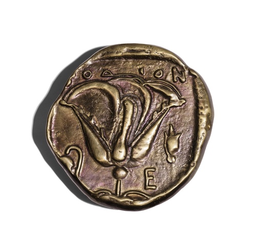 Rose of Helios, Witnesses Through Thousands of Years Series