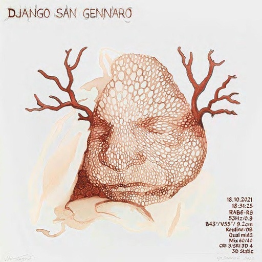 Django San Gennaro
