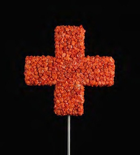 Homage to Henry Dunant (The cross of roses)
