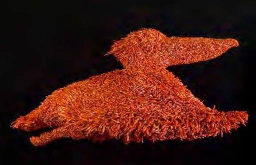 The bird of love