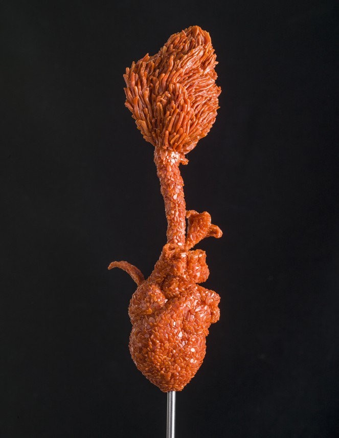 The little liberty of passion